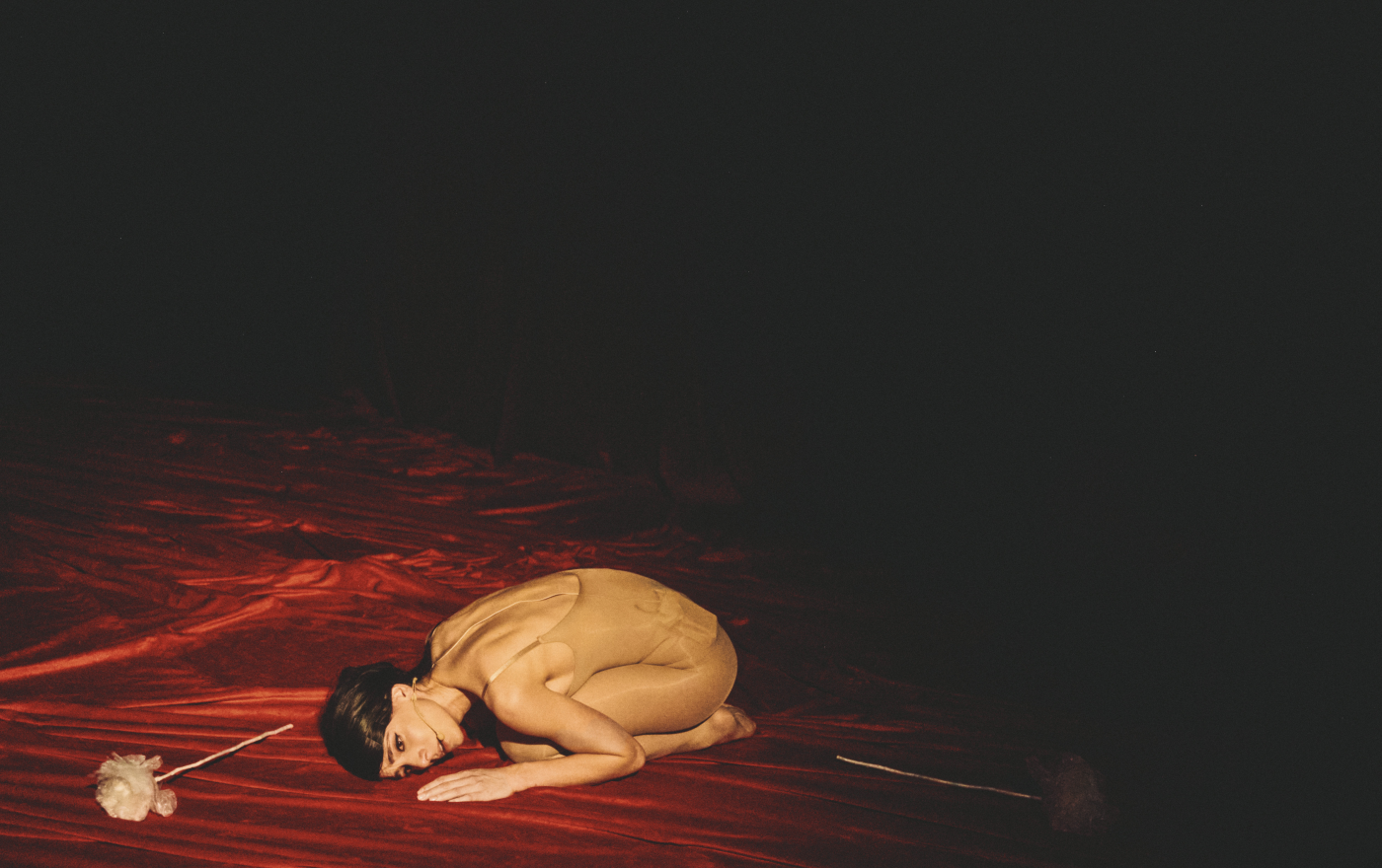 Persephone (Where the Light Forgets Me)